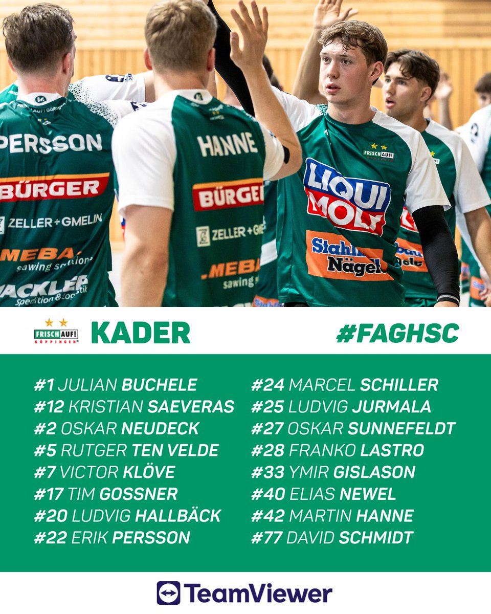 Unser Team fürs heutige Testspiel gegen den HSC Suhr-Aarau 🇨🇭💥