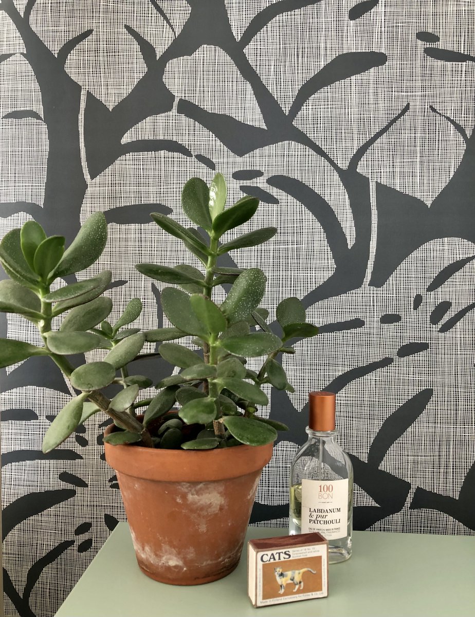Interior Details
How cute is this little collection of plants and treasures. They look very smart indeed with a Guatemala Afterdark wallpaper backdrop!
#missprint #wallpaperinsipration #darkwallpaper #stylingtips #wallpaperideas #surfacepattern #patternwallpaper #wallcovering