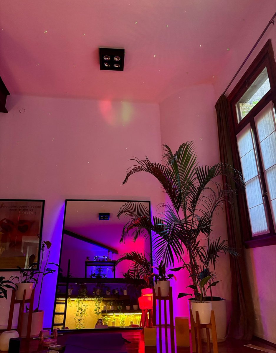 Sarah White tweet media