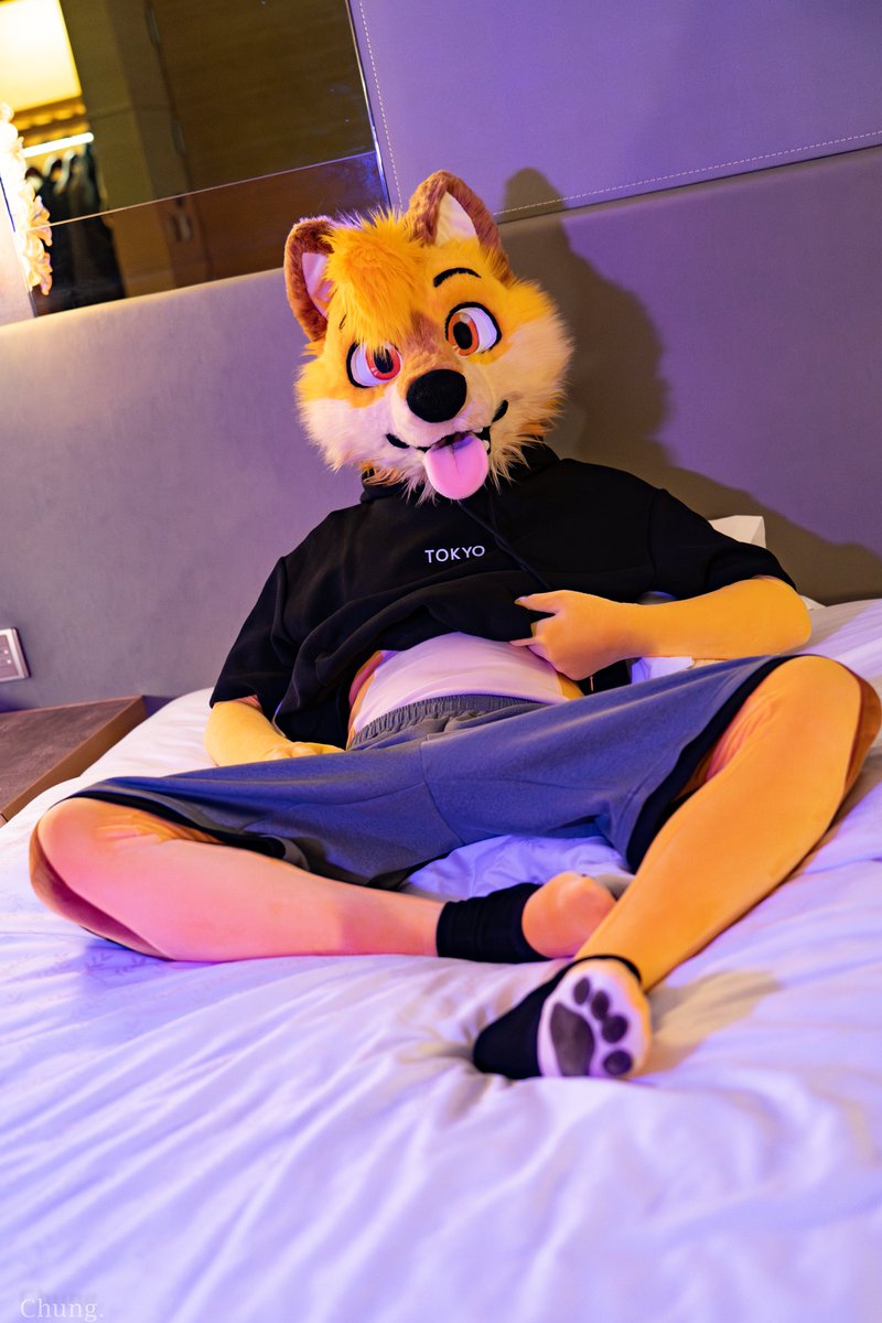 i want belly rubs! #FursuitFriday 
📸:<a href="/CangChung0307/">蒼穹Chung🔜大阪Osaka🇯🇵</a>