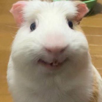 ricyyomii's tweet photo. https://t.co/TlGi5vlBpa
