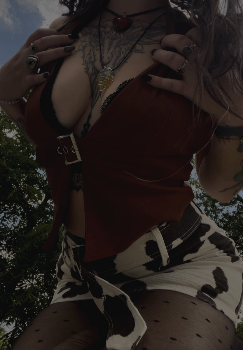 save a horse ride a chloe