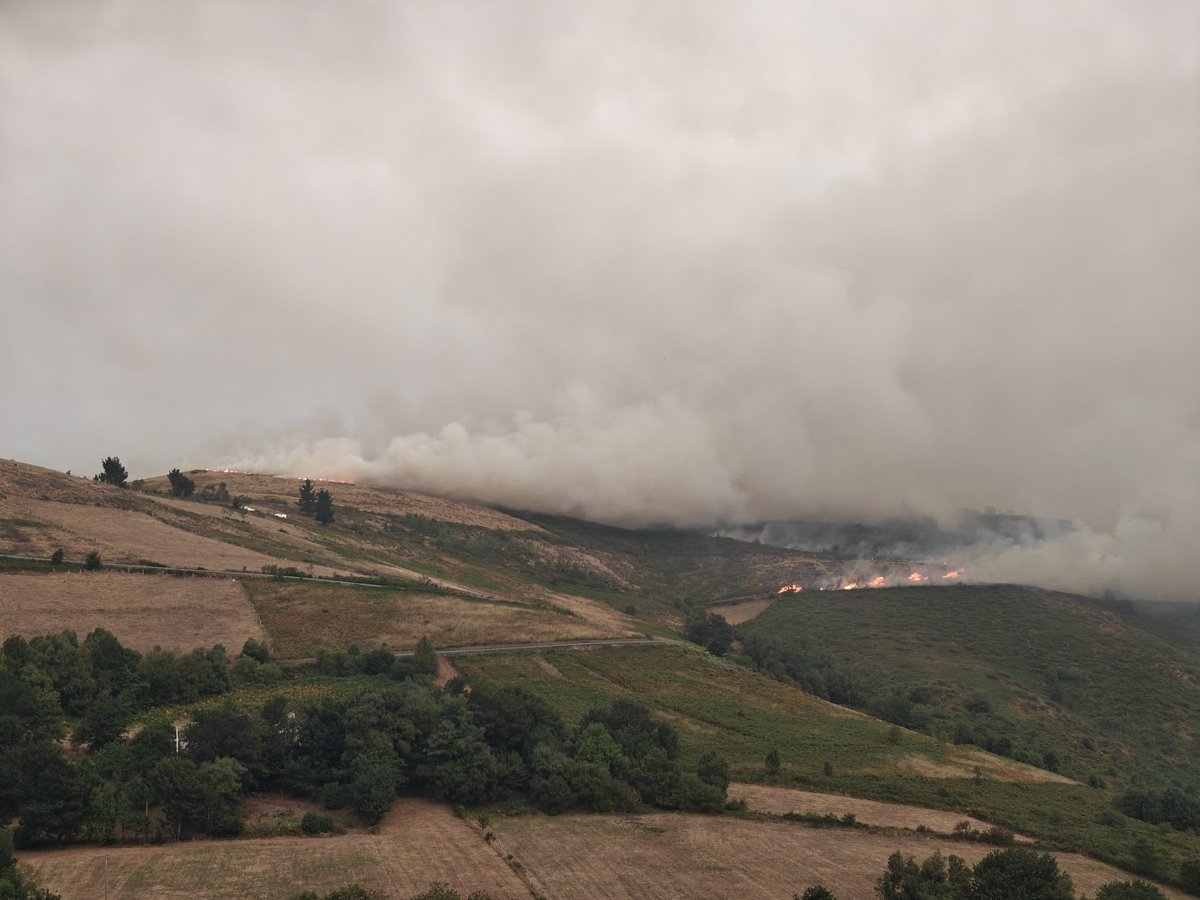 En Asturias el 80% de los incendios son provocados. Para el que no lo entienda, alguien prende de forma intencionada. Con estos datos, merecemos un operativo de prevención y vigilancia bien organizado no la organización cutre e ineficiente que tenemos ahora <a href="/AdrianBarbon/">🌹 Adrián Barbón 💙💛</a>