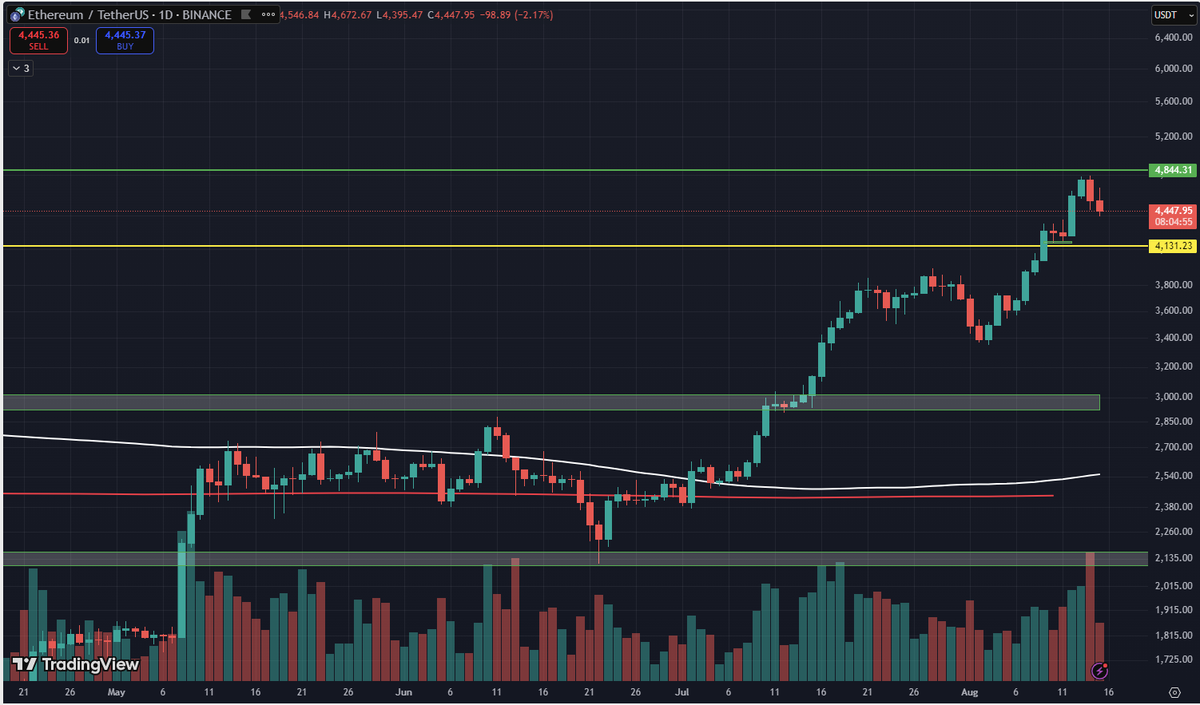Guedes.TPG tweet media