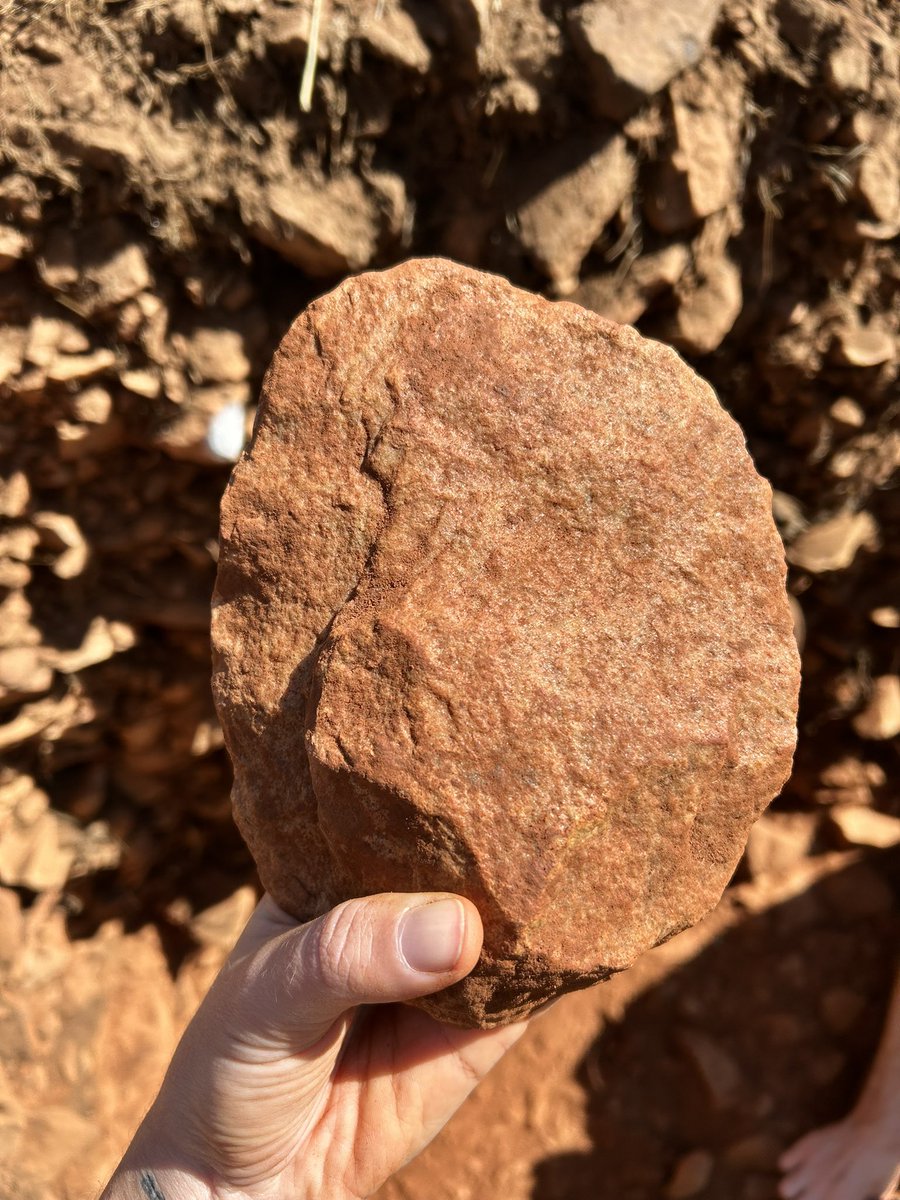 rene_slmnn's tweet photo. Some of the LCTs found at Wonderboom this season! 

#archaeology #lithics #stonetools #prehistory #wonderboom #earlierstoneage https://t.co/7gLQ1gIjGn
