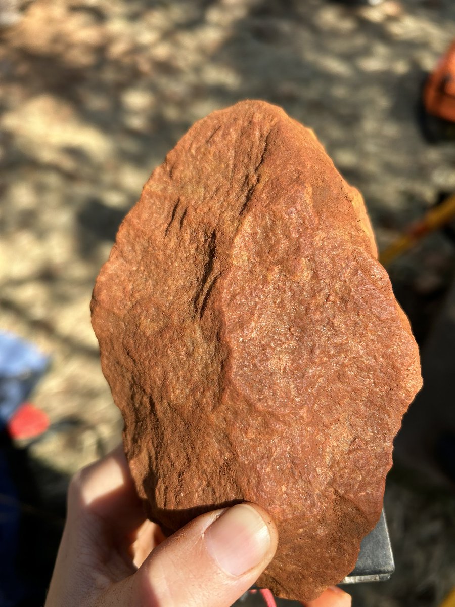 Some of the LCTs found at Wonderboom this season! 

#archaeology #lithics #stonetools #prehistory #wonderboom #earlierstoneage