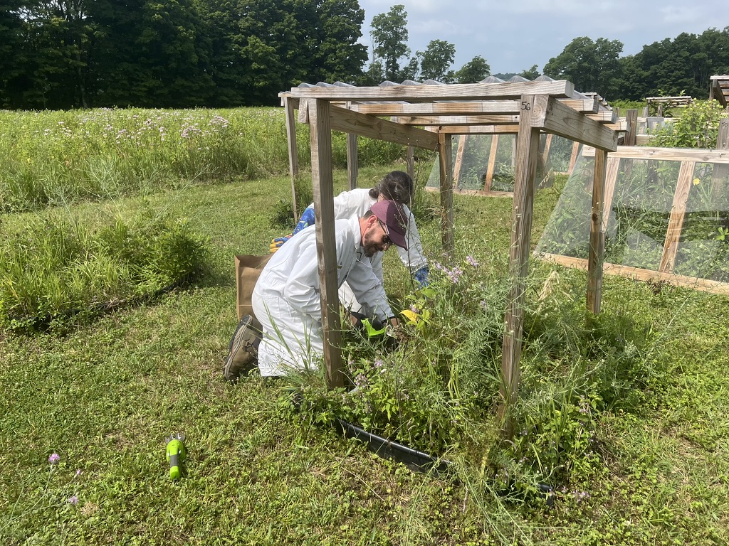 Congratulations to Cary's 2025-2026 Research Experience for Teachers (BIORETs) participants, who just finished six weeks of summer field research. They will take what they learned about the scientific process to implement innovative, authentic STEM experiences for their students.