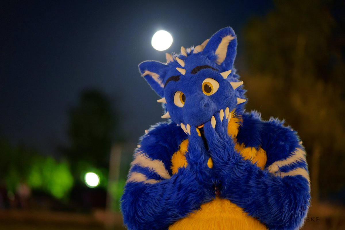 I wish everyone a good night on this #FursuitFriday 

Sleep well and have nice dreams 😴 

📸 <a href="/FloekeWusky/">Floeke</a> 
🗺️ East, Suhl