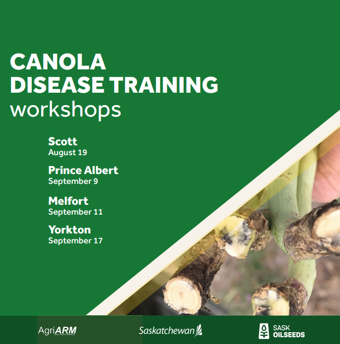 Join us for hands-on, in-field canola disease training sessions at one of the following locations in the coming weeks. Learn from our experts how to identify key canola diseases. Register today! saskcanola.com/upcoming-event…