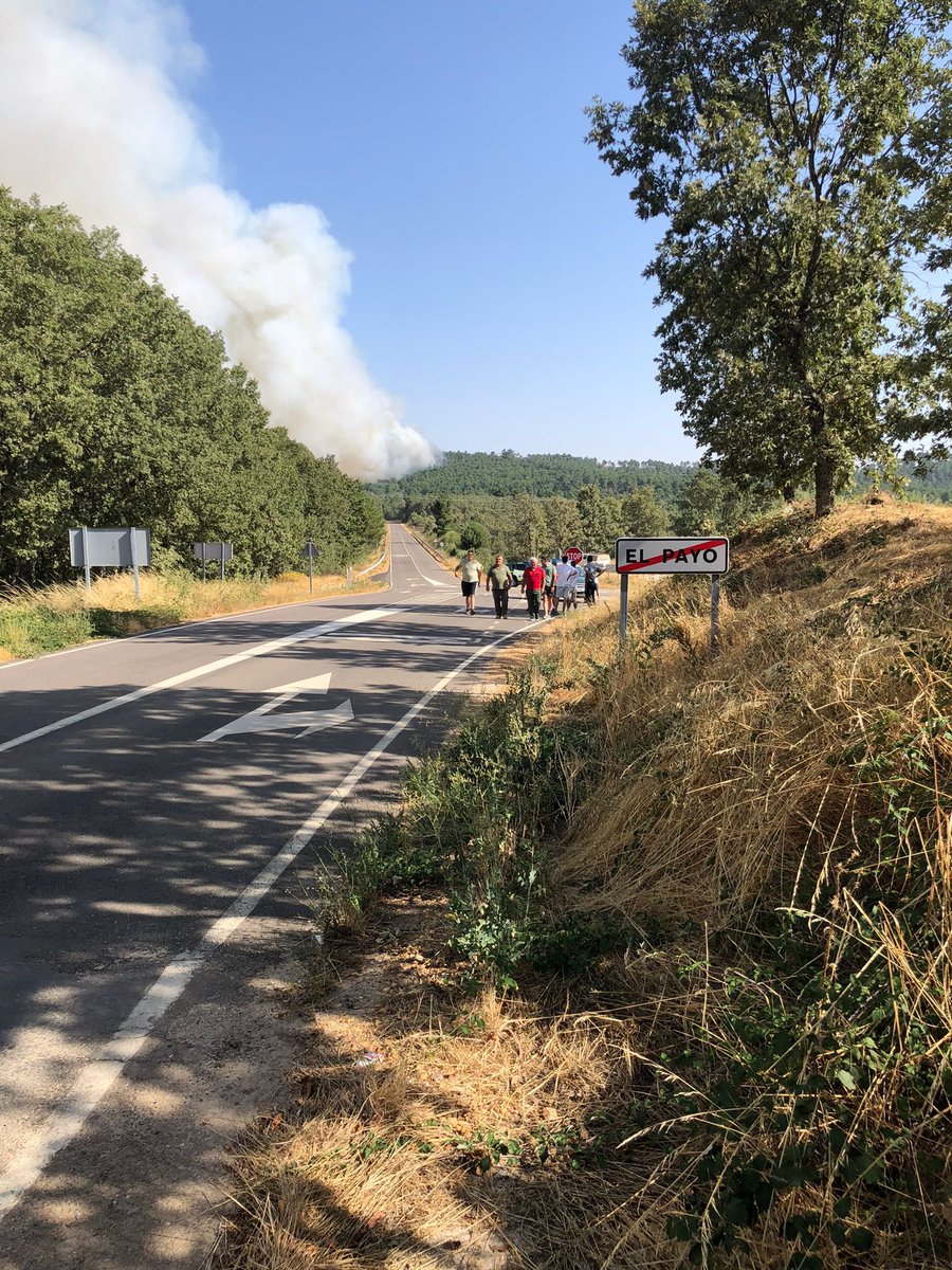 Azulanubis tweet media