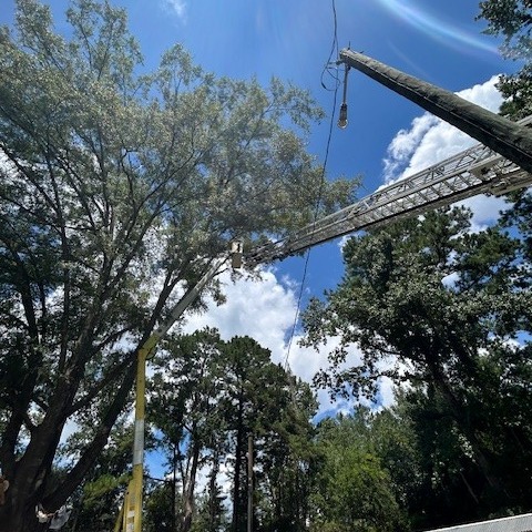 CCFR_GA's tweet image. Yesterday, a tree worker was stuck 30–40 feet in the air after a bucket lift malfunction. Camden County Fire Rescue and Kingsland Fire Rescue worked together to bring him safely down. Great teamwork!