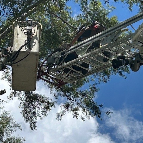 CCFR_GA's tweet image. Yesterday, a tree worker was stuck 30–40 feet in the air after a bucket lift malfunction. Camden County Fire Rescue and Kingsland Fire Rescue worked together to bring him safely down. Great teamwork!