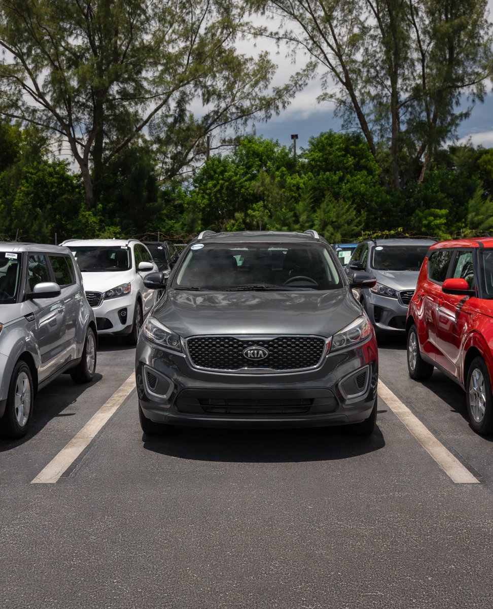 hgregauto's tweet photo. Affordable cars aren’t hard to find, if you know where to look 👀⁠
💥 Spoiler alert: it’s https://t.co/7m7M7LWm9G⁠
⁠
👇 Go explore the deals at https://t.co/7m7M7LWm9G⁠
⁠
⁠
#HGreg #SaveMoreDriveHappy #BestDeals #BestCars #Miami #Doral #PalmBeach #Tampa #Orlando #Houston https://t.co/k6cwA9jjnE