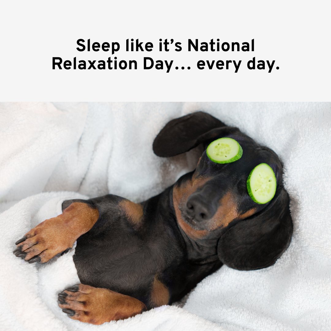 safehavensecure's tweet image. Some call it National Relaxation Day… we call it just another day when you’ve got Safe Haven Security. 🐾💙

Here’s to peace of mind for you and your pets!

#NationalRelaxationDay