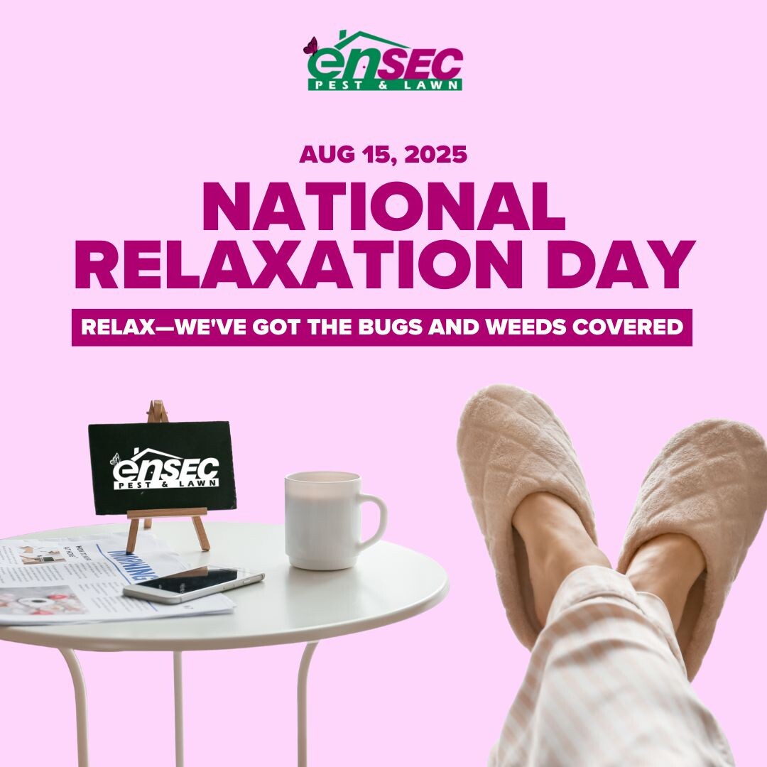 Celebrate National Relaxation Day by letting us handle your pest and lawn stress. With EnSec on your side, you can rest easy knowing your home is protected.
#RelaxationDay #StressFreeLawnCare #EnSecPestAndLawn #HomeComfort