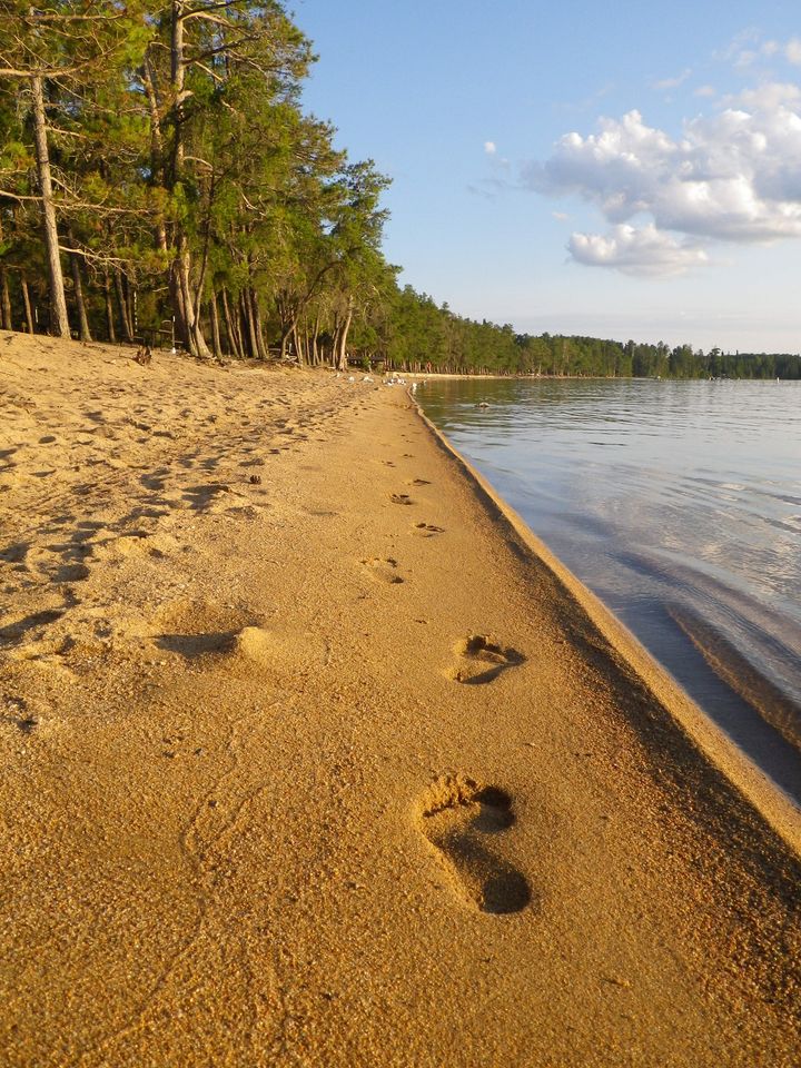 OntarioParks's tweet image. Give your brain a break!

When we’re in natural spaces, the lack of stressful stimulus means our brain doesn’t have to use as much cognitive energy to keep up with our surroundings. 🧠🌳

#NationalRelaxationDay #HPHP