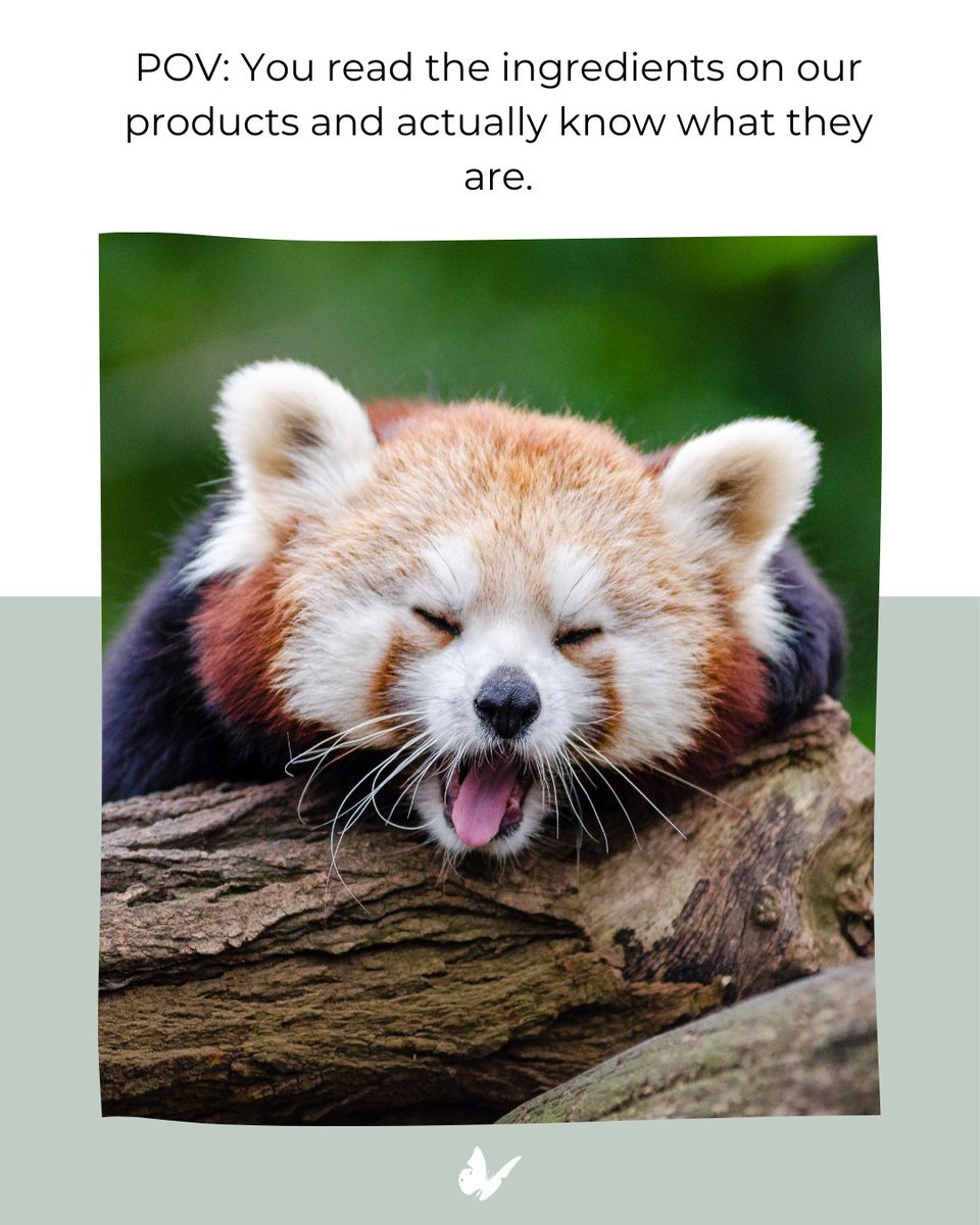 Evolve Biodegradable (@evolvebio) on Twitter photo 