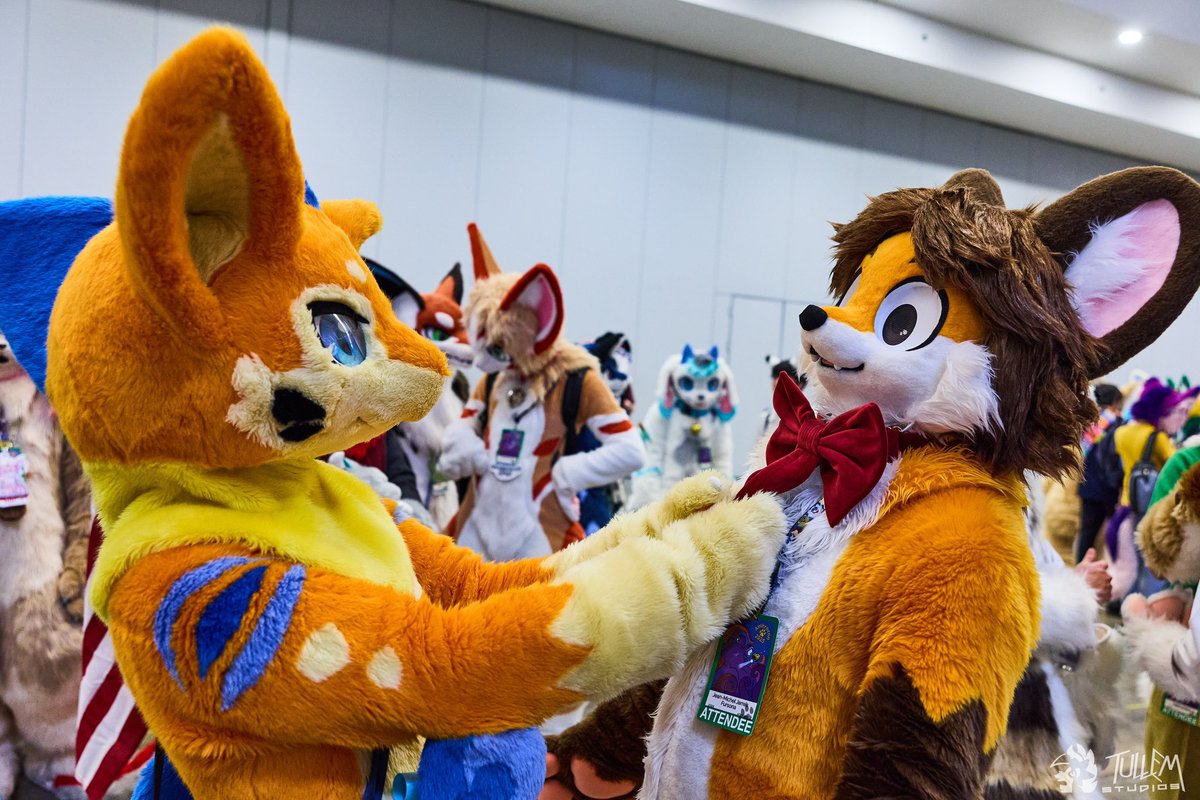 AAAAA LET GO OF MY BOW!!
📸: <a href="/tullembrat/">Tullem🔜FD, MP, AFC</a> 
#FursuitFriday