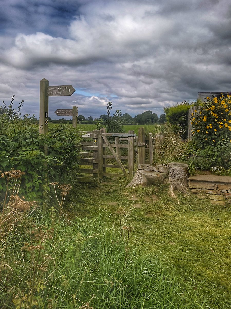 We're finishing the week cutting the grass at Newtown in #Cumbria 

#hadrianswall #nationaltrail