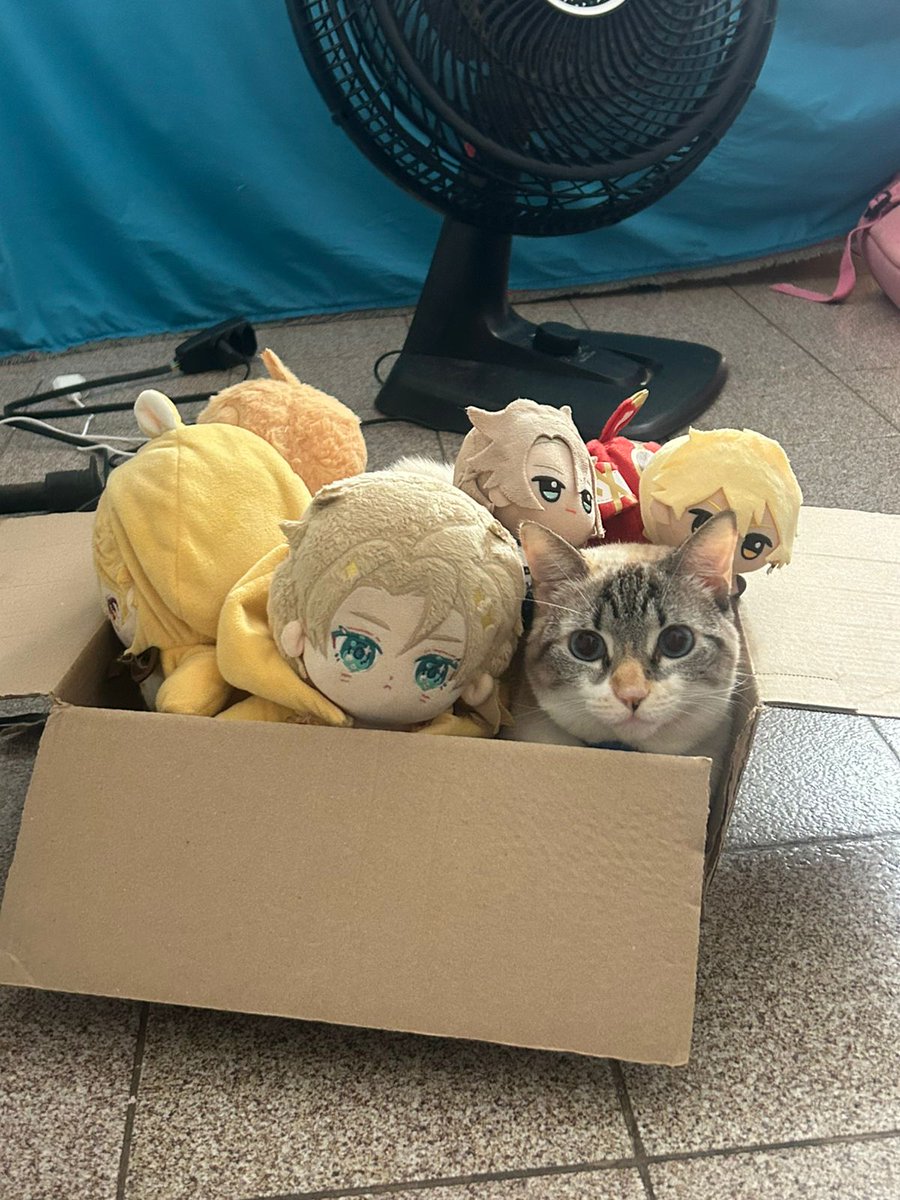 Bimbim🍭 she/her gorl cate tweet media