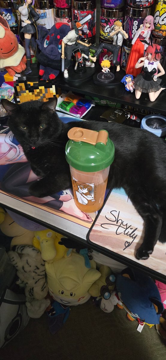 thebuffotaku's tweet image. Im on day 828 of loving @GamerSupps and on the partnership grind for code buffotaku! My cats grace and miko approves my love for Gamer Supps! #gamersupps #waifucups #ggarmy