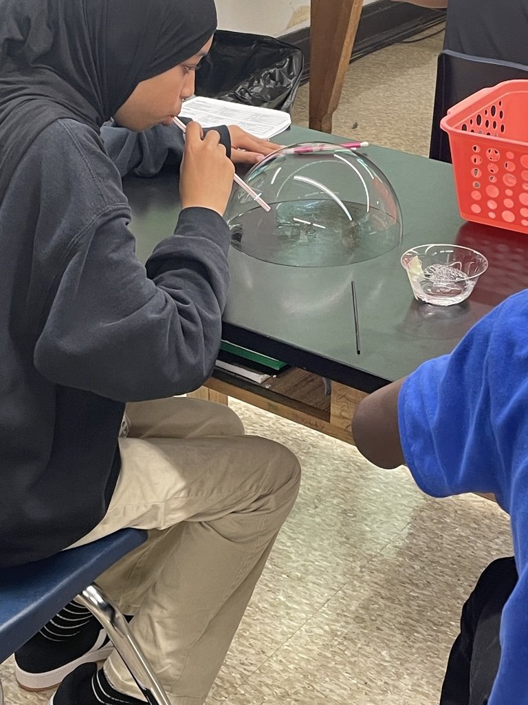 JCTMS_JCPS's tweet image. Great science observations and experiments going on with bubble water in Ms. Vachon's 8th grade "Gold Team" science class! 👩‍🔬🫧🔬 #sciencerules #middleschool #scienceclass #JCTMS