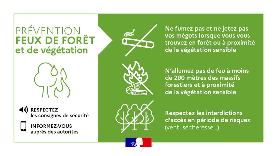 Image de Préfète de l'Ain - Les #FeuxDeForêt nous concernent tous !
En été, 9 feux sur 10 sont d’origine humaine. À proximité d