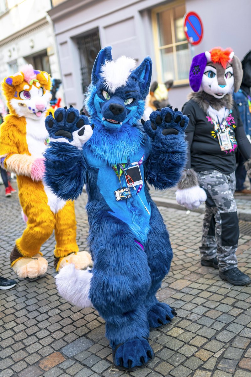 Greetings from the smol Celestial Wolfo! Hope everyone has a wolf-tastic day today! ^^

#FursuitFriday 

📸: <a href="/k44chu/">Kachu</a> 
👔: <a href="/kigurumikagetsu/">きぐるみ花月/Kigurumi Kagetsu</a>