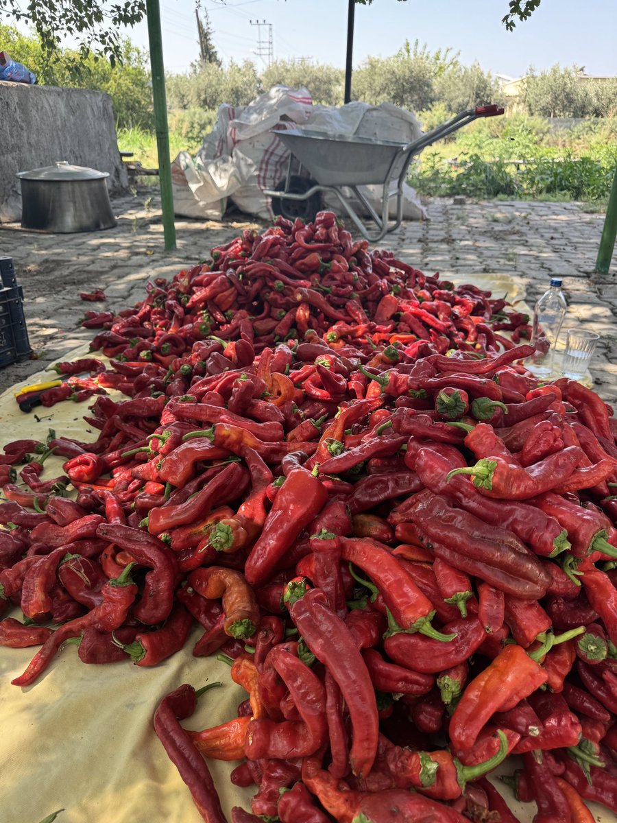 Benim yaşam standartları