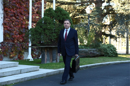 Con todos los incendios forestales que tenemos echo de menos al Ministro de Agricultura y Ganadería, el Sr. Planas, algo tendrá que decir este ministerio que realiza la legislación básica de montes, la conservación y aprovechamiento, y mejora de las explotaciones forestales