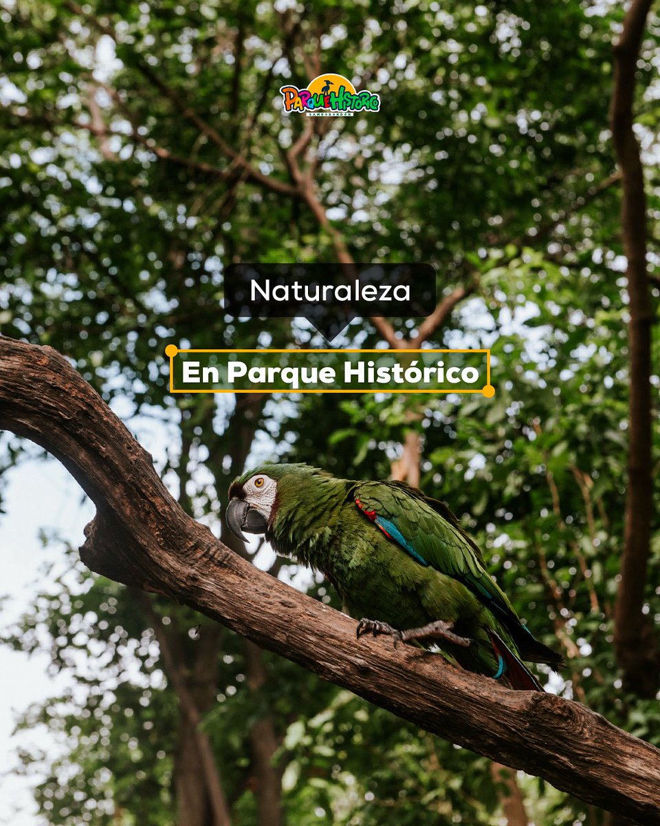 Conéctate con la naturaleza este fin de semana✨

¿Ya viste el cronograma de actividades?👀
