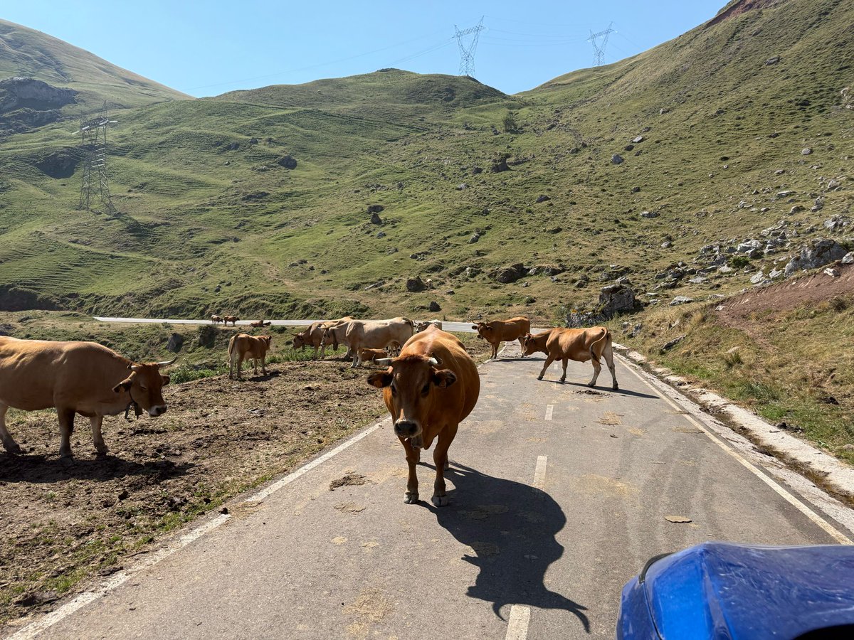 John KH6RF/KL7 tweet media