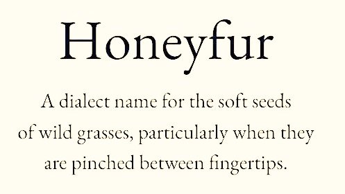 Cian McCarthy tweet media