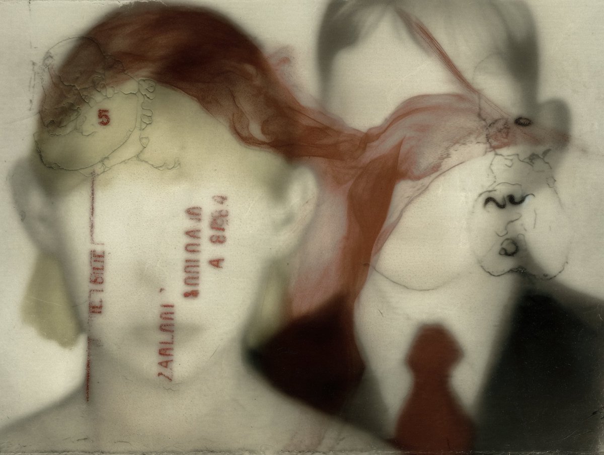 lykaiiiii's tweet image. “proof of cohabitation,” gm