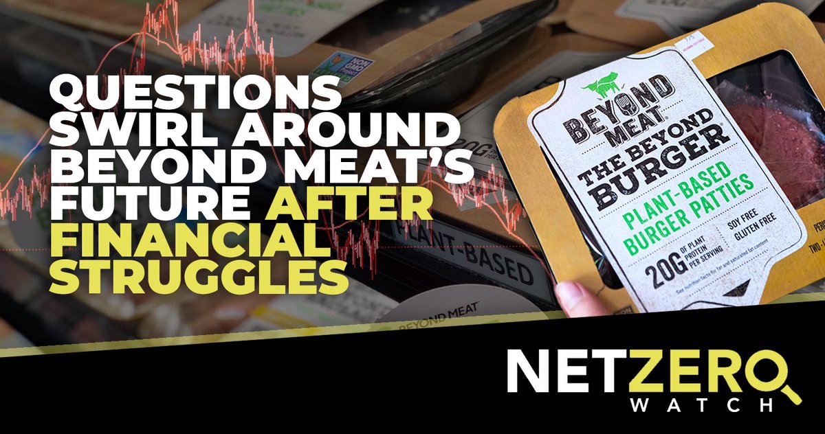 Beyond Meat is facing financial woes with sales down nearly 20% from last year, putting the future of the meat-substitute company in question.

Another ESG/Net Zero fad that has hit a wall. This time it is plant-based ‘meat’.