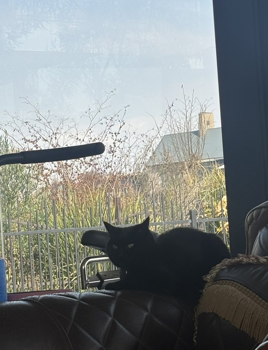 Gudeng2eo's tweet image. 구사일생 구댕이 인사올립니다. 
잠온다~