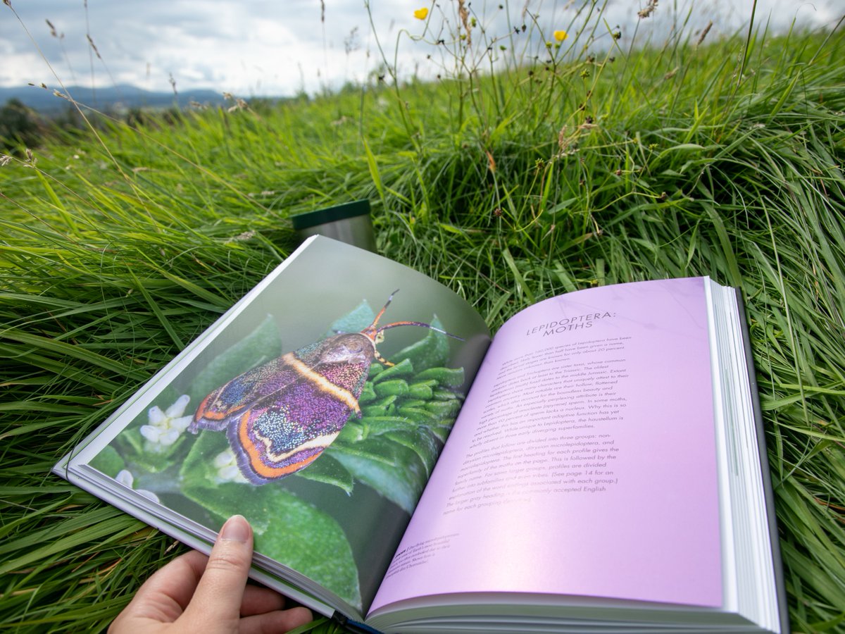 Looking for a good book to get stuck into this summer? 📖

Whether you fancy exploring wild fens or diving into the wonderful world of moths, lose yourself in nature with our top 5 reads 👉 butterfly-conservation.org/news-and-blog/…