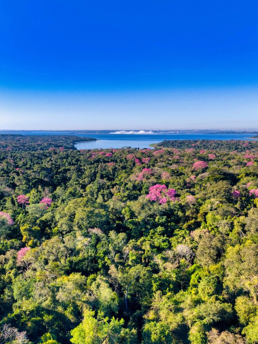 Hernandarias, Paraguay 🇵🇾
