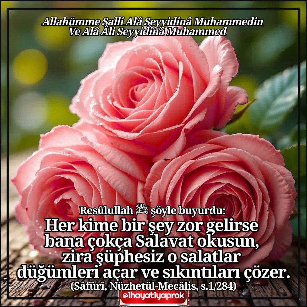 1hayat1yaprak's tweet photo. Rasûlullah ﷺ şöyle buyurdu;
Her kime bir şey zor gelirse bana çokça #salavat okusun, zira şüphesiz o salatlar düğümleri açar ve sıkıntıları çözer.
(Sâfûrî, Nüzhetül-Mecâlis, s.1/284)
#Muhammedecanfeda ❤️ https://t.co/AoIpxePENF
