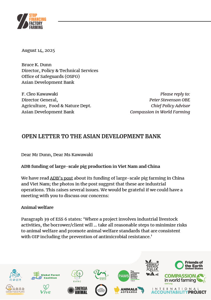 CIWF_Global's tweet image. We&apos;ve signed a letter – as part of the @S3F_global coalition – urging @ADB_HQ to stop funding cruel industrial pig farms in China and Vietnam. These farms cause animal suffering, harm the planet and risk public health. #StopFactoryFarming