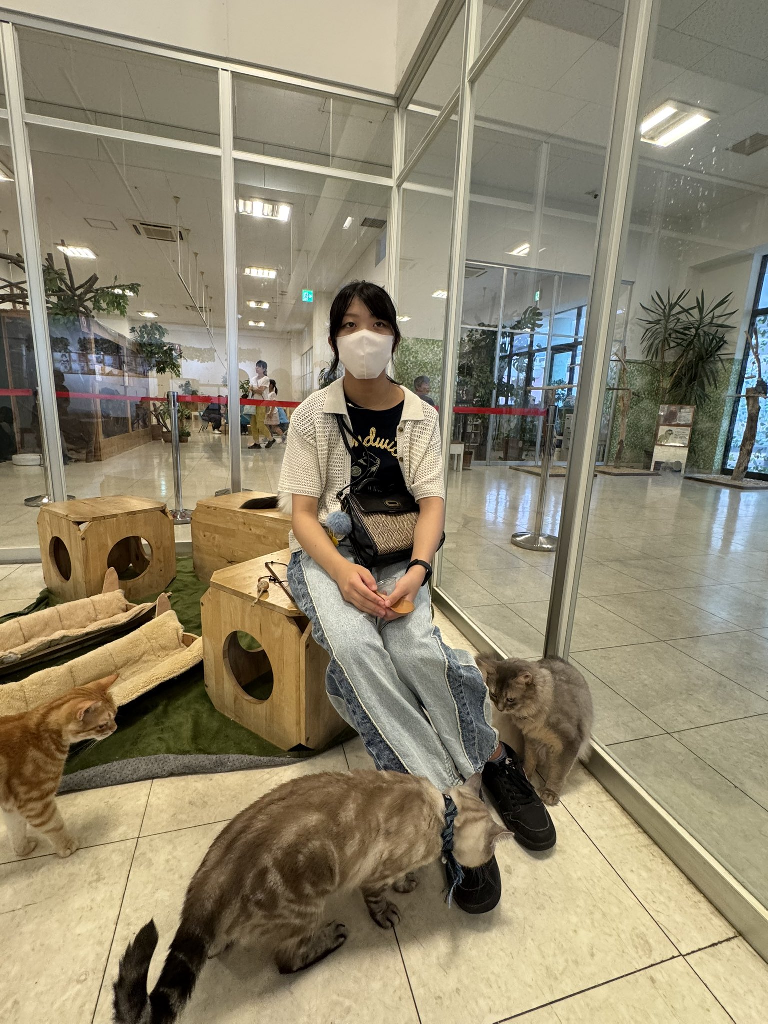 ねこまみれ くっろ🦜 on X: 