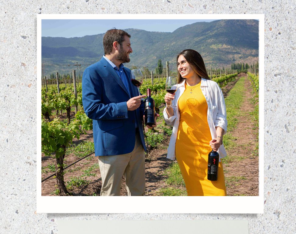 🍷🌱 El turismo vitivinícola en Colchagua crece con un enfoque sostenible. Conoce cómo en saborysaber.cl/gastronomia-ch… #ApturChile #TurismoChile 🛫🇨🇱 #Colchagua <a href="/SaborySaberCL/">Sabor & Saber</a> <a href="/apuntesyviajes/">Apuntes y Viajes</a>