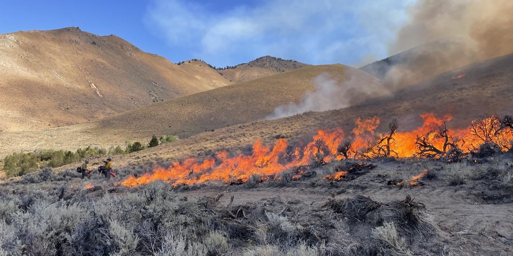 As we explore the reasons why August is typically a busy month for wildfire activity, temperatures are also a culprit. August typically sees the highest temperatures of the year, especially in the West,  which lead to increased fire behavior.

For example, a heat wave hit many