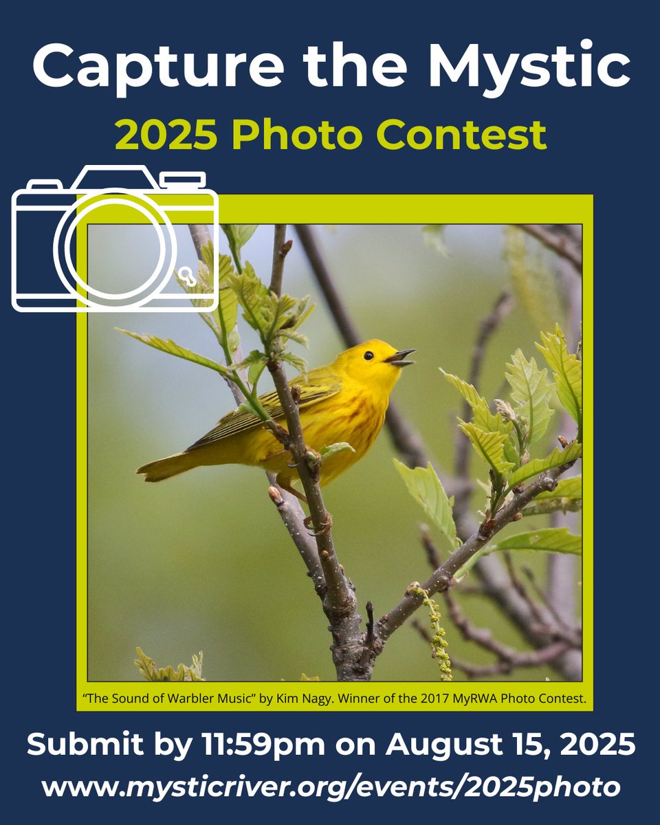 📣 Last Call!! Our 2025 Photo Contest closes at 11:59PM TONIGHT! Amateur or pro — anyone can submit photos in the categories People in Parks, Recreation on the Water, Wildlife, Landscape, and/or Extreme Weather >>> mysticriver.org/events/2025pho…