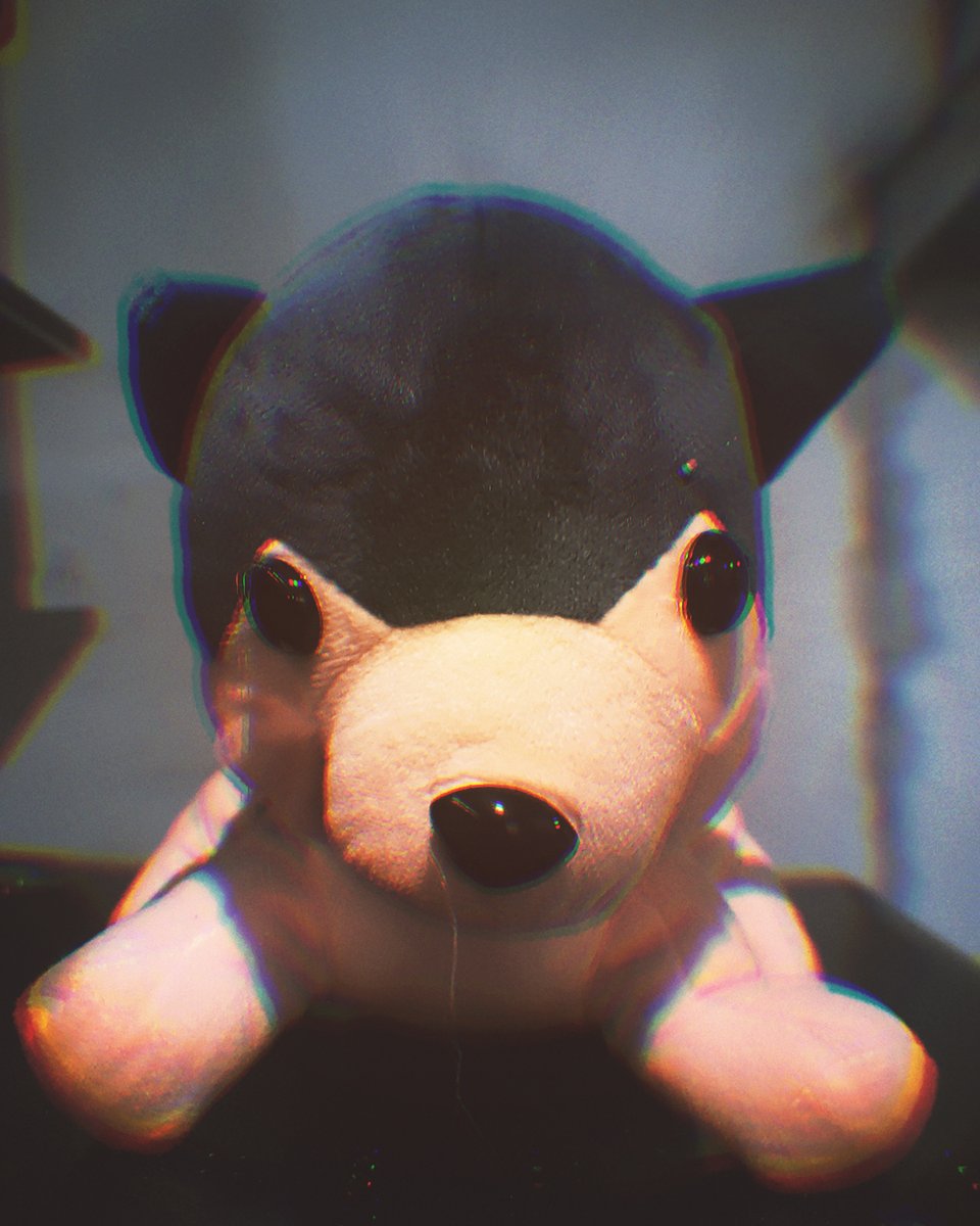 threetartz's tweet photo. GM's House: The Animal 🐶🐦 

Puppy 🐕

"There's something dangerous in that motionless stare, the way it watches without judgment but with complete understanding."

2 editions ONLY - 10 tezos Each
Available @objktcom 

👇🏼🔗

#NFTCollectors #photography #threetartz #NFTCommunity https://t.co/tPaMvuKzFr