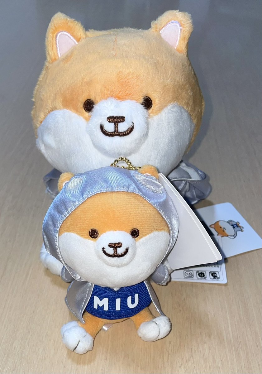 miu404 ポリまる　1周年 61Gn1y6nAFL._UF350,350_QL50_.jpg