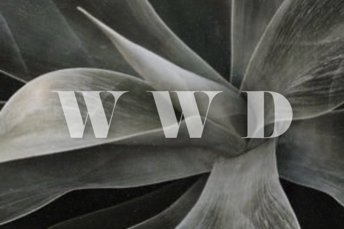 𝖠𝖻𝖾𝗅. tweet media