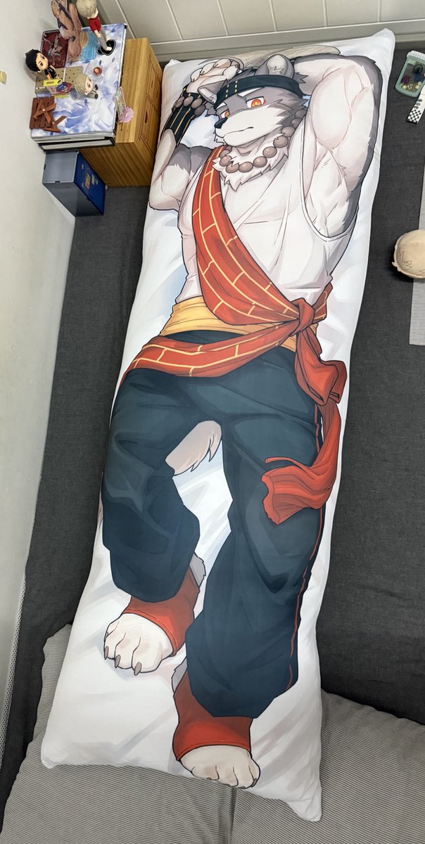 mas14159's tweet photo. 周边终于到了，抱枕装上内胆后好大一条，床上已经没有我的容身之处了 #三相奇談 https://t.co/FvFh1FxxOp