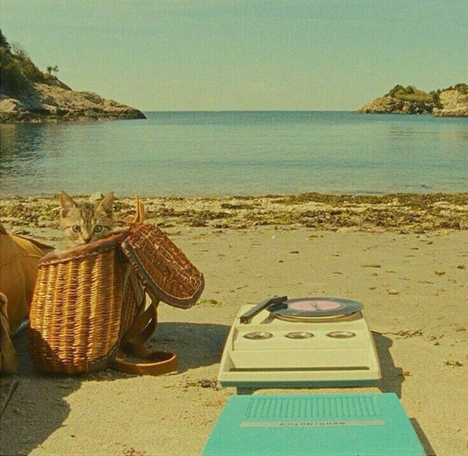 Sabrina Moro (@sabrinamoro9) on Twitter photo Moonrise Kingdom   ( 2012 ).
Wes Anderson  🎥 Moonrise Kingdom   ( 2012 ).
Wes Anderson  🎥