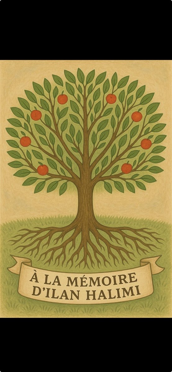 Christophe Le Sourt (@xoflesourt) on Twitter photo 